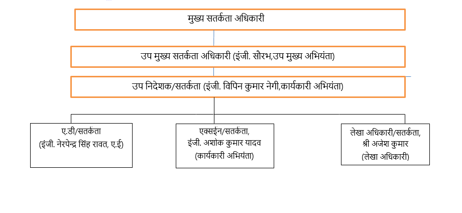 Vigilance Structure