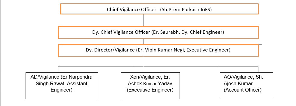 Vigilance Structure