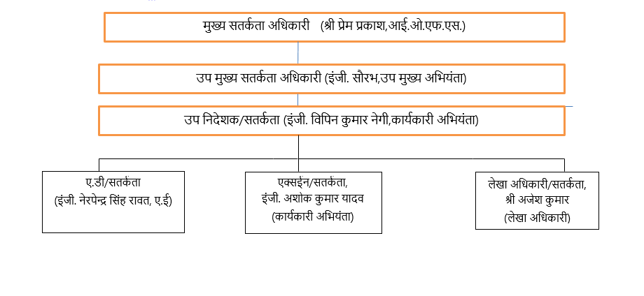 Vigilance Structure